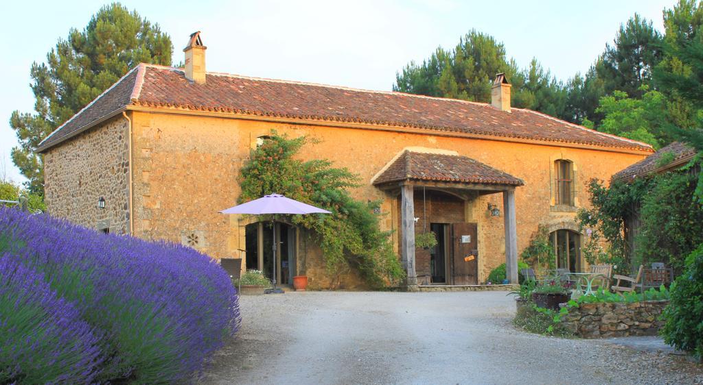 Chambres D'Hotes Leone Haute Saint-Avit-Rivière エクステリア 写真