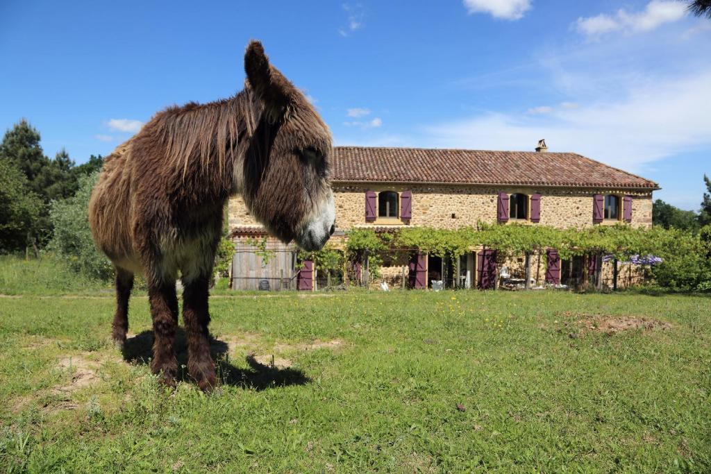 Chambres D'Hotes Leone Haute Saint-Avit-Rivière エクステリア 写真
